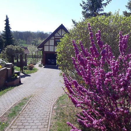 Ferienwohnung Zur Saaleaue Wettin Zewnętrze zdjęcie