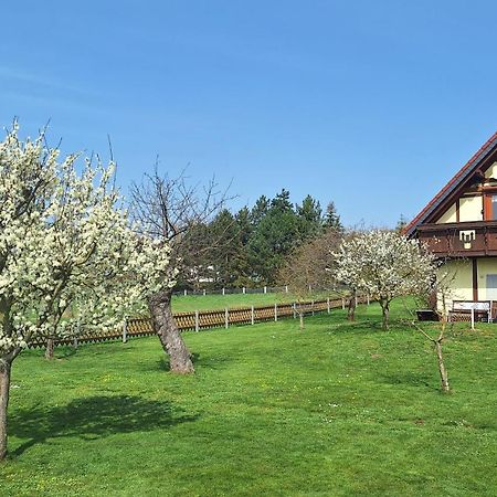 Ferienwohnung Zur Saaleaue Wettin Zewnętrze zdjęcie