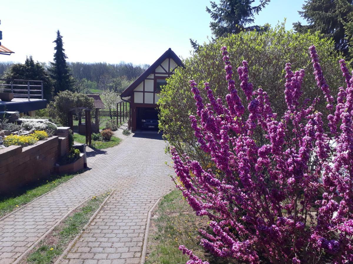 Ferienwohnung Zur Saaleaue Wettin Zewnętrze zdjęcie