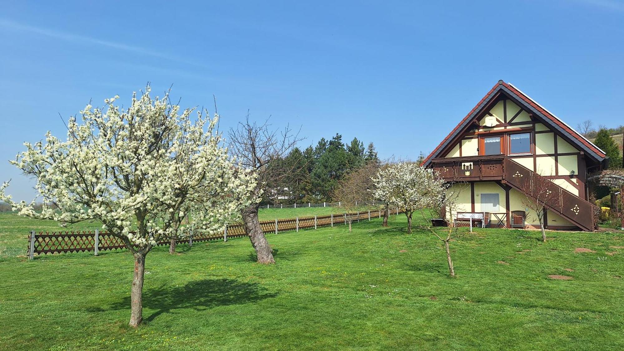 Ferienwohnung Zur Saaleaue Wettin Zewnętrze zdjęcie